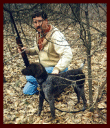 Jazz pointing a quail at six months.