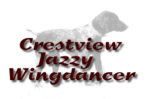 Crestview Jazzy Wingdancer